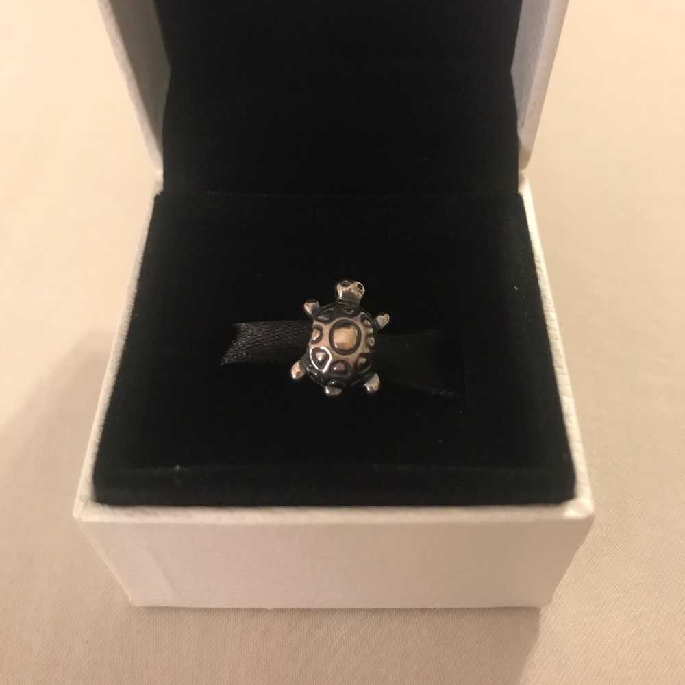 Pandora Turtle Charm (Discontinued)